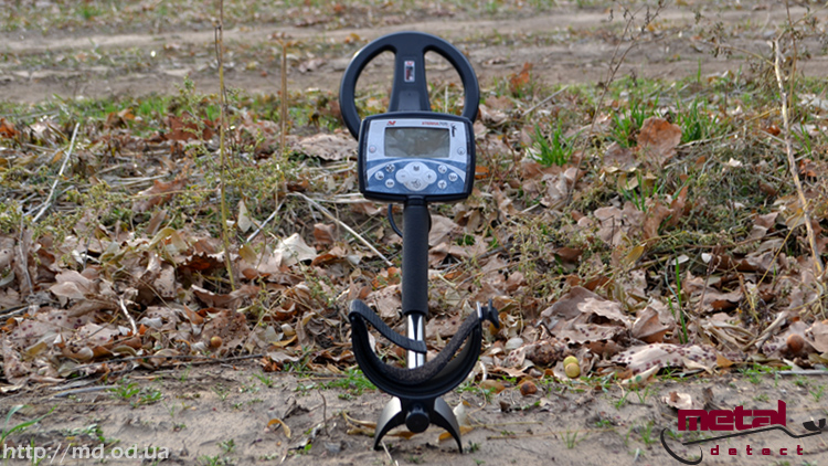 Minelab X-Terra 705 цена